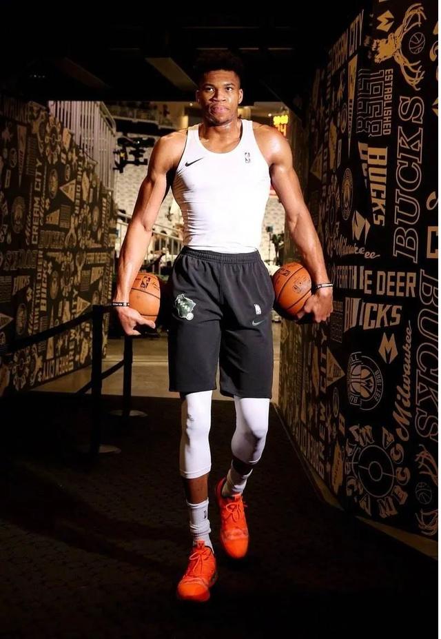 再引入擅长 再引入擅长